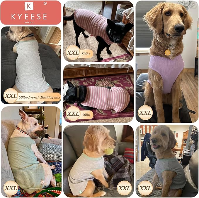 KYEESE 2Pack Dog T-Shirts Waffle, Stretchy T-Shirts, Lightweight Tank Top, Sleeveless Vest, Breathable, XX-Large, Purple + Grey