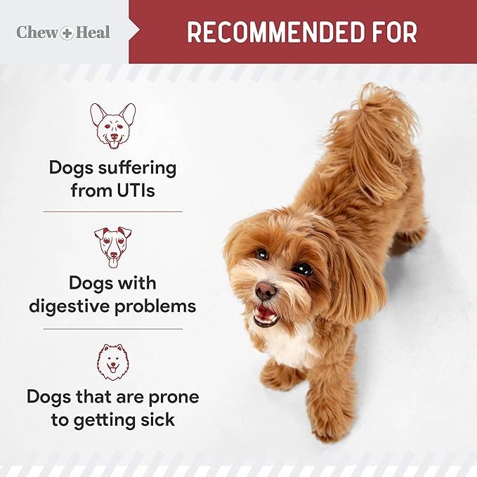 Dog UTI Treatment Cranberry Supplement for Dogs, 240 Soft Chews - Natural Urinary Tract Infection Support and Healthy Bladder Control – Made with Echinacea and Vitamin C (2 Packs of 120)