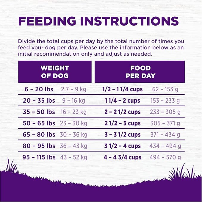 Wellness Complete Health Dry Dog Food with Grains, Made in USA with Real Meat & Natural Ingredients, All Breeds, Adult Dogs (Chicken & Oatmeal, 30-lb) – With Nutrients for Immune, Skin, & Coat Support