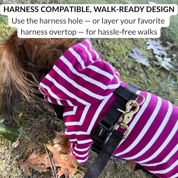 DJANGO Dog Hoodie – Warm, Lightweight, Soft & Stretchy Dog Sweater with Hood, Harness Hole & Elastic Waistband – Cozy Sweatshirt for Small Dogs up to 25 lbs, Dachshunds & Puppies – Boysenberry, XS