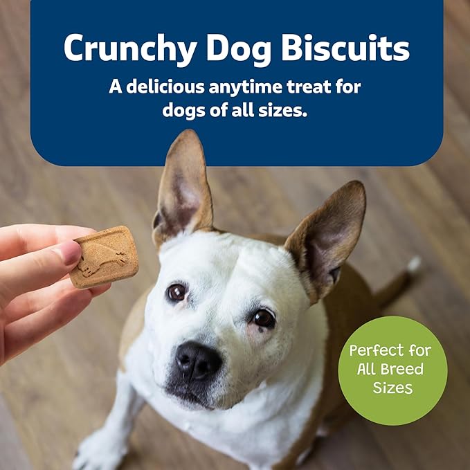 Blue Buffalo Health Bars Oven-Baked with Natural Ingredients, Apples & Yogurt Crunchy Dog Biscuits, 3.5 lbs.