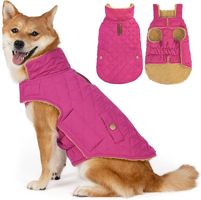Dog Winter Coat, Warm Dog Jacket Windproof Waterproof Pet Cold Weather Coats for Small Dogs, Turtleneck Fleece Lined Dogs Clothes with Leash Hole, Rose Red Medium