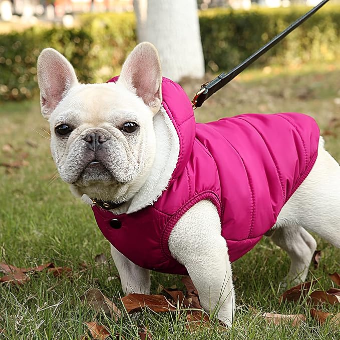 Windproof Waterproof Dog Coat Fleece & Cotton Lined Warm Jacket, Cold Weather Pet Apparel Clothes Vest for Small to Large Dogs (2XL, Pink)