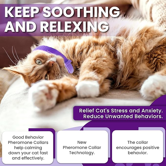 Calming Collar for Cats: Pheromone-Infused Behavior Support, Long-Lasting 30-Day Effect, Adjustable & Waterproof, 4-Pack (M Purple)