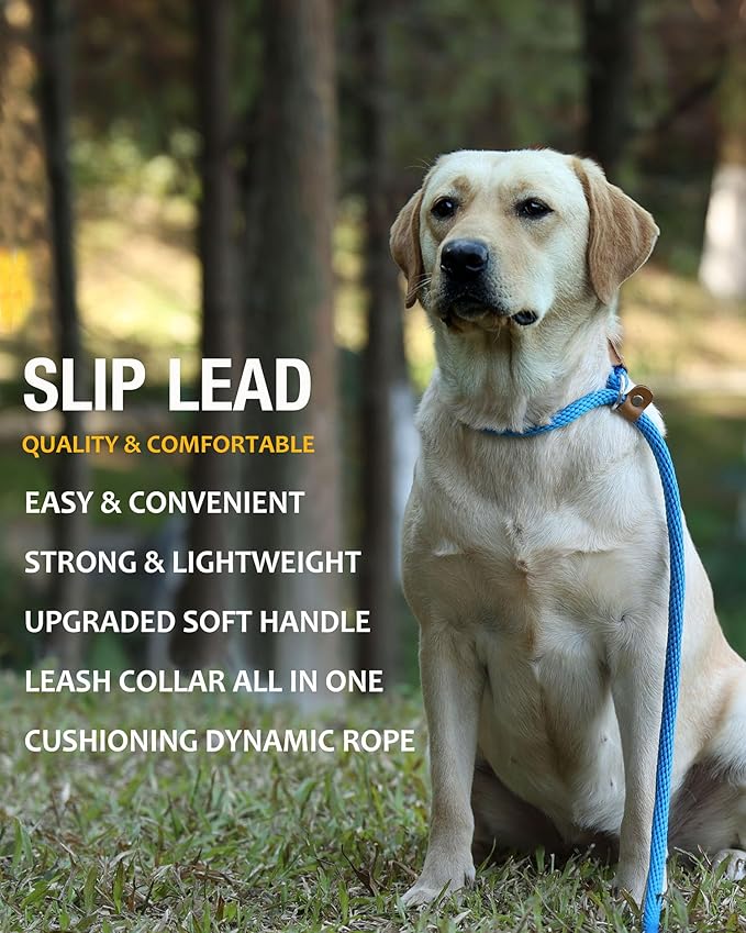 lynxking 5 FT Dog Leash Slip Lead 2 Pack Strong Heavy Duty Braided Dog Training Leash No Pull Training Lead Leashes for Medium Large and Small Dogs
