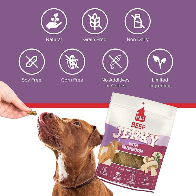 PLATO Pet Treats Jerky Dog Treats - Air-Dried Jerky for Dogs - Delicious, Real Meat Dog Treats - Grain Free - Supports Healthy Digestion - Beef Jerky with Mushroom 7oz