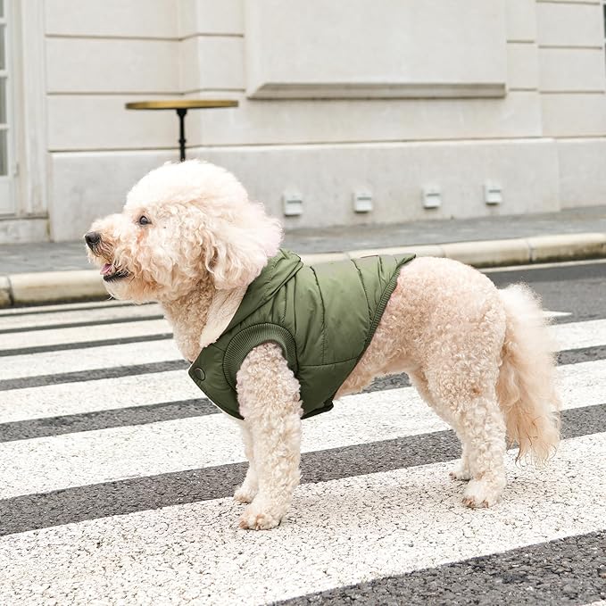 Fleece Lining Extra Warm Dog Hoodie in Winter,Small Dog Jacket Puppy Coats with Hooded Green XS