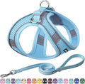 AIITLE Comfortable Dog Harness and Leash Set for Walking - Summer Step in Vest Harness,Reflective Bands, Adjustable No Pull Puppy Essentials, for Small Dogs and House Cats Pure Blue XS