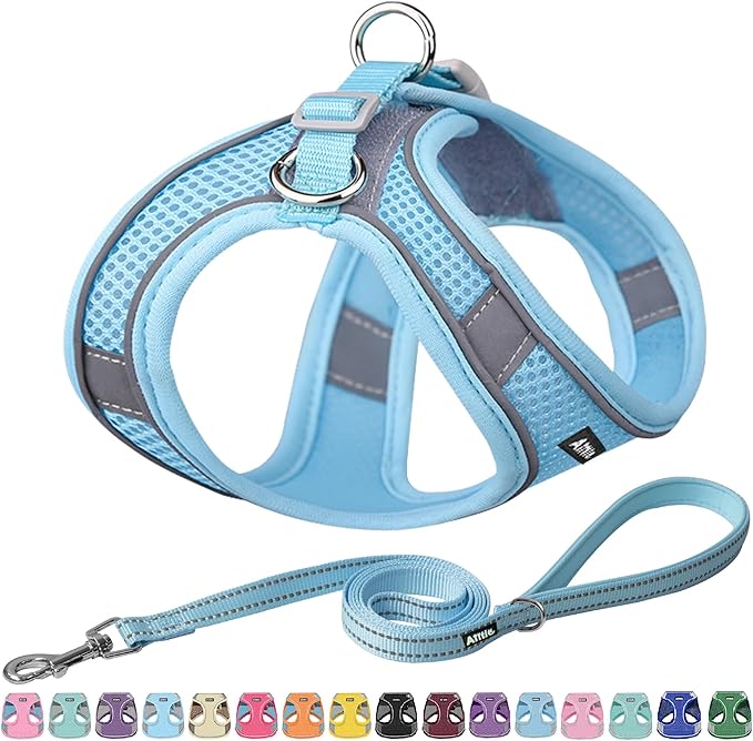 AIITLE Step in Dog Harness and Leash Set - Summer No Pull Escape Proof Vest Harnesses with Soft Mesh and Reflective Bands, Adjustable Pet Outdoor Harnesses for Small and Medium Dogs Pure Blue M