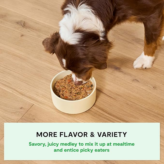 Open Farm Rustic Stews Wet Dog Food, Grain-Free, Complete & Balanced with Human-Grade Ingredients, Humanely-Raised Meat & Bone Broth, Chicken & Salmon Recipe, 12.5oz Packs (Case of 12)
