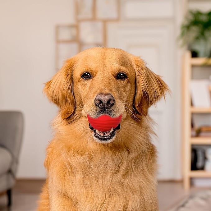 Playology Dog Toys | Dual Layer Ball Durable Chew Toy for Aggressive Chewers | Jumbo Beef Scented Toy - Easy to Clean and Made from Non Toxic Materials
