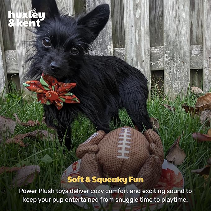 Huxley & Kent Funny Dog Toy w/Squeaker – Thanksgiving Fall Power Plush Squeaky Dog Toys for Small, Medium & Large Dogs – Soft Stuffed Animal for Indoor Play & Fetch - Turkey Bowl, Jumbo