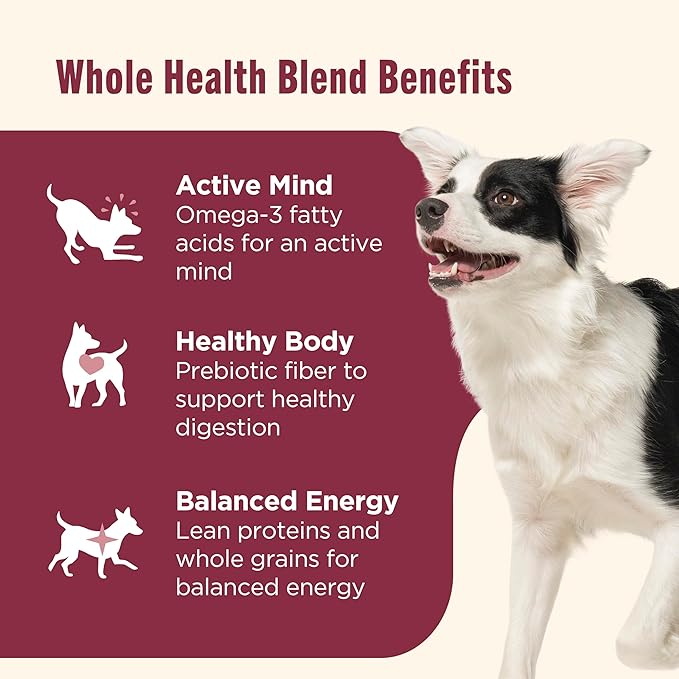 Nutrish Real Salmon, Veggies & Brown Rice Recipe Whole Health Blend Dry Dog Food, 5.5 lb. Bag, Packaging May Vary (Rachael Ray)