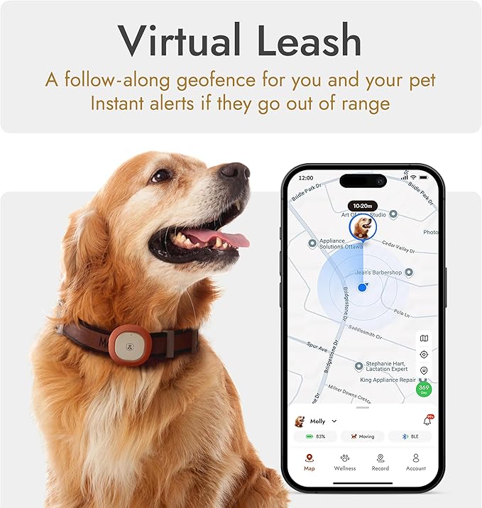 Molly&Cody GPS + Bluetooth Pet Tracker for Cats & Dogs – Real‑Time Tracking, Virtual Fence, IP67 Waterproof, Up to 60‑Day Battery, Health Monitoring, iOS/Android – 3‑Month Subscription Included(White)