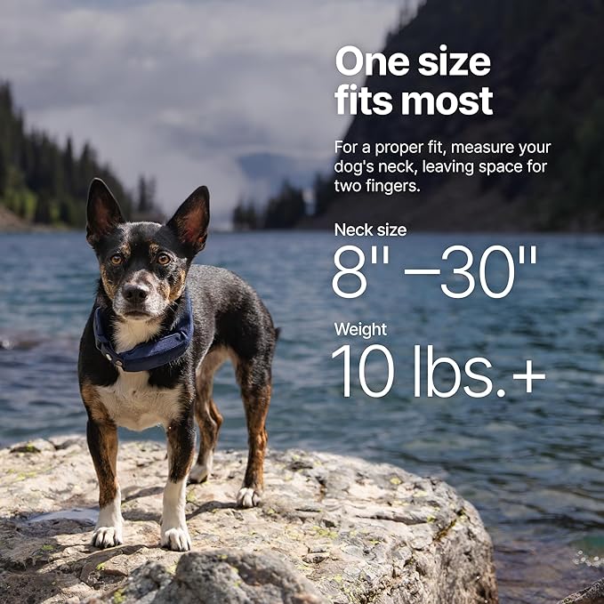 Halo Collar 5, New Wireless Dog Fence & GPS Dog Collar, Subscription Required, Waterproof, Sunburst, One Size