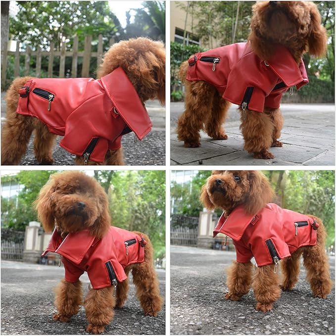 Lovelonglong Cool Dog Leather Jacket, Warm Coats Dogs Windproof Cold Weather Coats for Large Medium Small Dogs, Pomeranian Clothing Red M