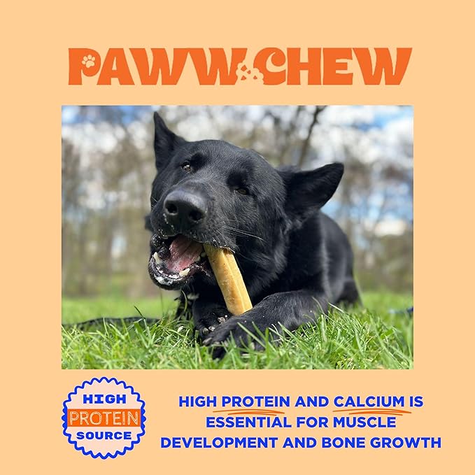 PAWW CHEW Yak Cheese Himalayan Dog Chews - All Natural Long Lasting Dog Treats, (Medium - 5 Pack) Odorless, High Protein Yak Chew, Great for Oral Health, Only 3 Ingredient Yak Bone for Power-Chewers