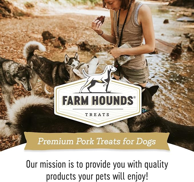 Farm Hounds - Pork Jerky - Premium Natural Jerky for Dogs - 100% Humanely Raised Pork - Break-to-Size - Great for Training & Treats - No Added Fillers - Made in USA - 3.5 oz - 1 Pack