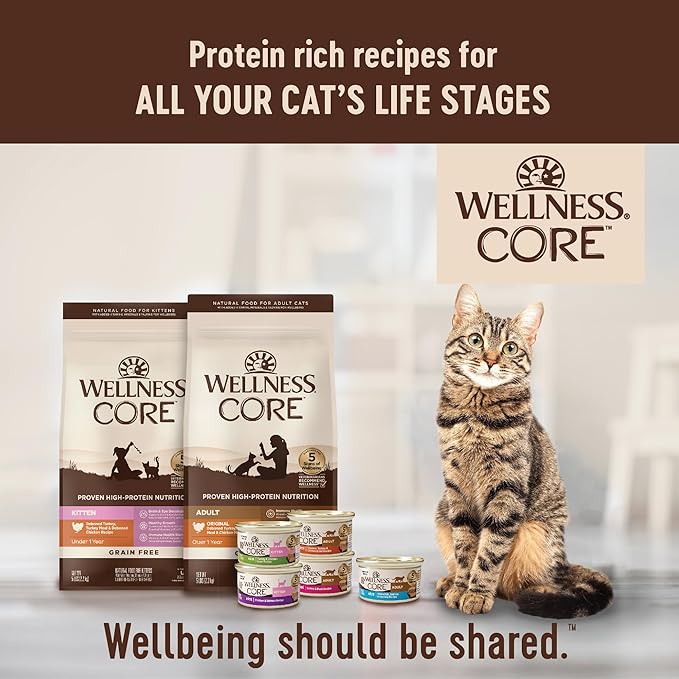 Wellness CORE Kitten Dry Cat Food for Indoor & Outdoor Cats, Grain Free, Natural, Original Turkey, Turkey Meal and Chicken (5 Pound Bag)