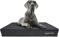 The Dog’s Bed Orthopedic Memory Foam Dog Bed, XXL Grey & Black, Waterproof, Supportive Dog Bed with Replaceable Covers
