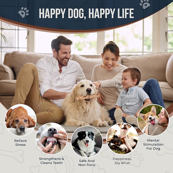 Coffee Wood Dog Chew and Natural Cotton Rope Toy for Regular Chewers - 100% Organic Wood Stick for Dog - Teeth Cleaning - Size L