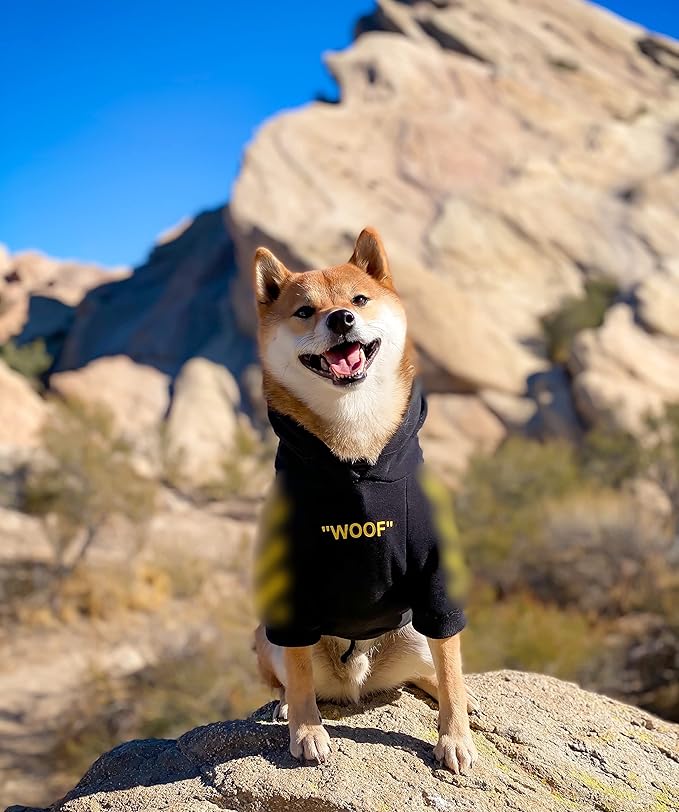 ChoChoCho Stylish Dog Hoodie Dog Clothes Streetwear Cotton Sweatshirt Fashion Outfit for Dogs Cats Puppy Small Medium Large (5XL, Yellow)