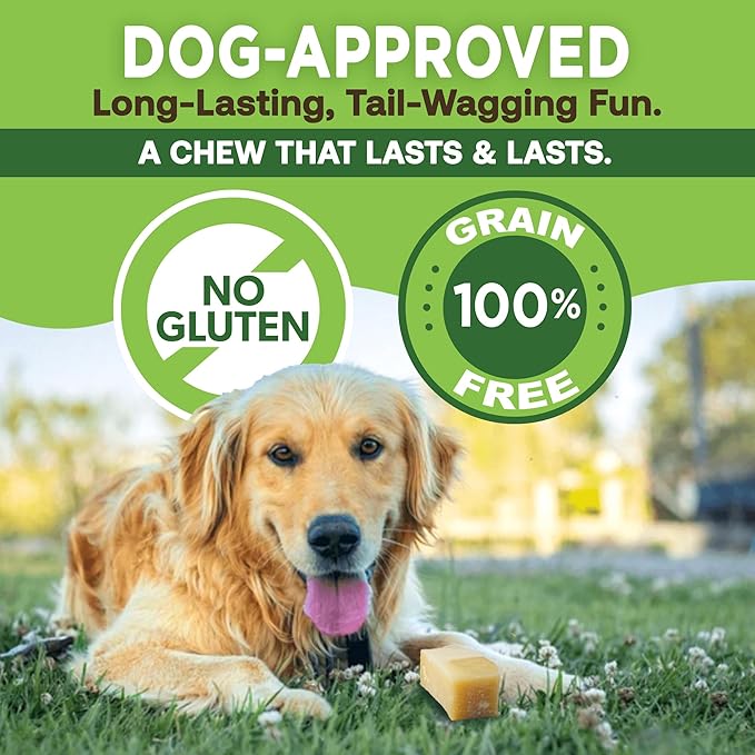 EcoKind Premium Gold Yak Cheese Himalayan Dog Chews, Healthy Dog Treats for Small Dogs, High Protein, All Natural, Long-Lasting Chew, Small - 16 Chews