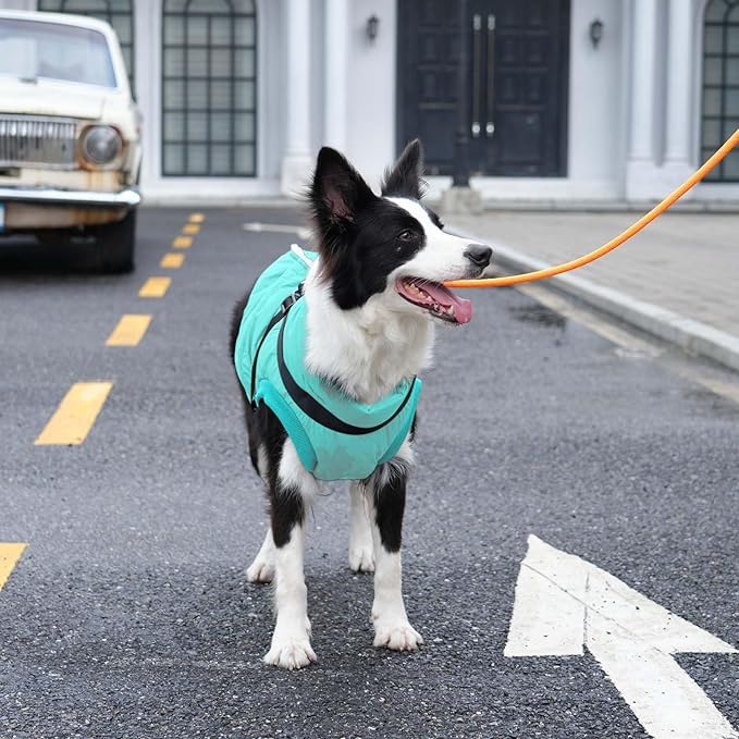 Dog Jacket with Harness,Fleece Lined Warm Puppy Coat for Winter,Soft Windproof Large Dog Vest,Bluegreen XXL