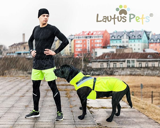Dog Rain Coat - Waterproof, Reflective, Bright Yellow with Harness Hole (M, Yellow)