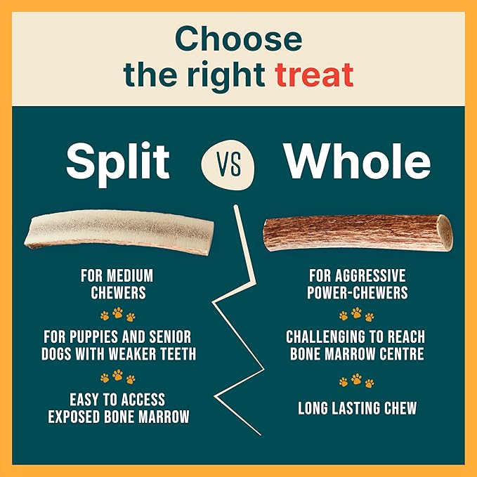 100% Natural - Split Elk Antlers for Dogs ( 3 pack ) - Naturally Shed in USA - Dog Antler Chews Medium Breeds - Natural, Long-Lasting Treats for Aggressive Chewers - No Smell & No Mess - Medium