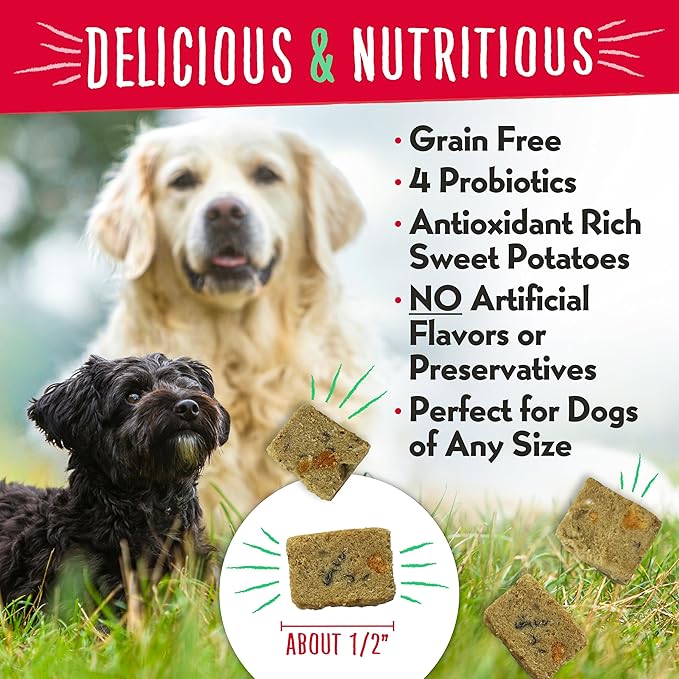 Charlee Bear Grain Free Meaty Bites Freeze Dried Dog Treats with Probiotics, Puppy Training Snacks, Soft Dog Bites Salmon with Sweet Potatoes, 2.25 oz Bags (2), Made USA