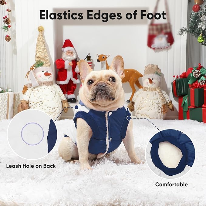 Fleece Lining Extra Warm Dog Hoodie in Winter,Small Dog Jacket Puppy Coats with Hooded,Beige and Blue XS