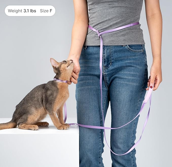 Cat Harness and Leash Set, Lightweight Escape Proof Cat Harness Leash with Padded Handle, Adjustable Cat Leash and Harness for Kitten Small Large Cats Walking Training (Monet Purple, S)