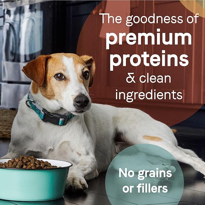 Canidae Pure Limited Ingredient Premium Adult Dry Dog Food, Real Wild Boar & Garbanzo Bean Recipe, 4 lbs, Grain Free