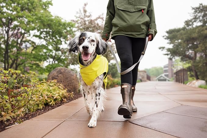 Goldpaw Rainpaw Waterproof Dog Raincoat - Durable Dog Rain Jacket for All Seasons - Easy to Wear, Adjustable, Premium Pet Outerwear - Made in The USA - Machine Washable - Black Bean - Size 24
