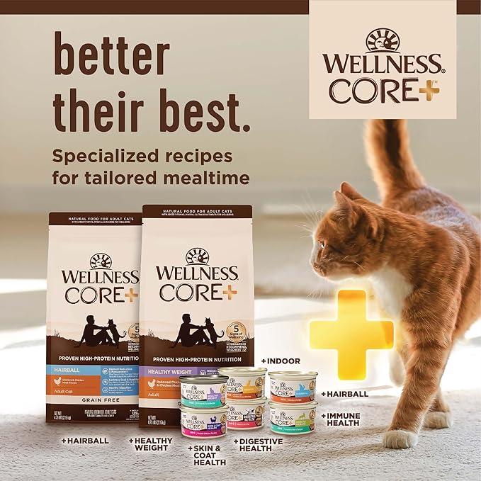 Wellness CORE+ Adult Dry Cat Food for Indoor Cats, Grain Free, Natural, Chicken, Turkey & Chicken Meal (11 Pound Bag)