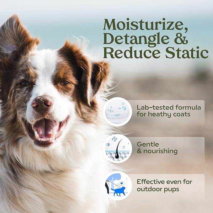 PAWFUME Dog Perfume Spray for Grooming, Blue Ribbon, 1-Pack – Keep Your Pup Fresh All Day – Probiotic, Alcohol-Free, Detangling & Moisturizing – Salon-Quality Dog Spray Deodorizer Perfume