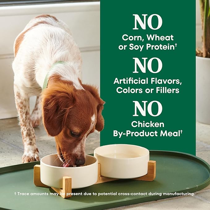 Nutro Natural Choice Chicken & Brown Rice Small Breed Dog Food Dry Recipe, 5 lb. Bag