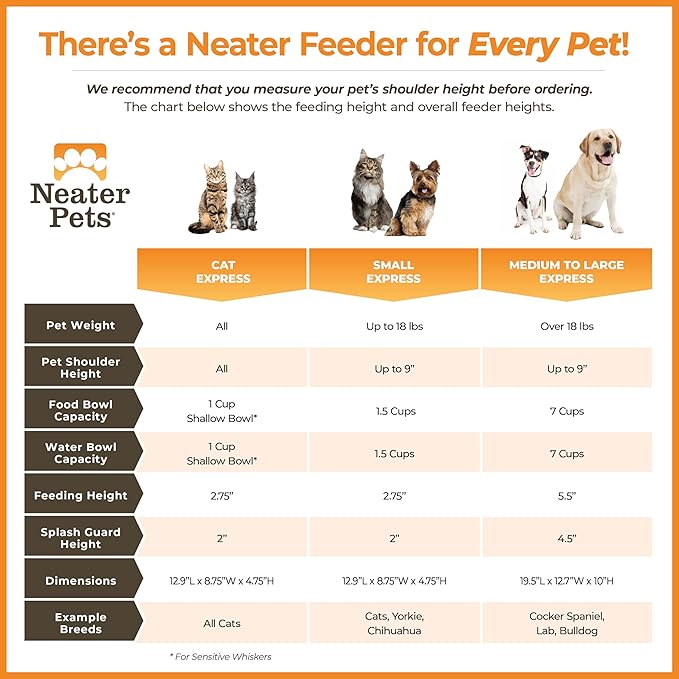 Neater Feeder Express Mess Proof Cat Bowls Elevated, No Spill Feeding Station, Stainless Steel Dishes for Food and Water, Raised Bowls for Indoor Cats, No Fatigue Whisker Friendly Dish, Grey