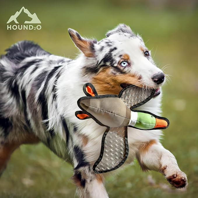 Plush Dog Toys | 2 Pack Flying Duck & Trout Fish Stuffed Animal Squeaky Toy for Dogs | Outdoor Pet Toy Built for Adventure