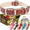 ADITYNA Heavy-Duty Leather Dog Collar for Large Dogs - Soft Padded for Comfort - Large Dog Collar for Walking, Training, and Hiking