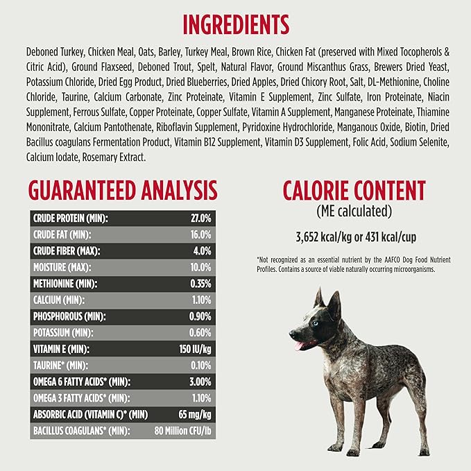 Nulo Frontrunner Ancient Grains High-Protein Dog Food, Turkey, Trout & Spelt Recipe- Natural Dry Dog Food with Probiotics, Grain-Inclusive Kibble for Adult Dogs, 5 lb Bag