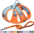 AIITLE Escape Proof Dog Harness - Step in Adjustable Dog Harness No Choke Over with Breathable Mesh and Quick-Release Buckle for Summer- Outdoor Walking, Camping, Training for Medium Dogs Orange XL