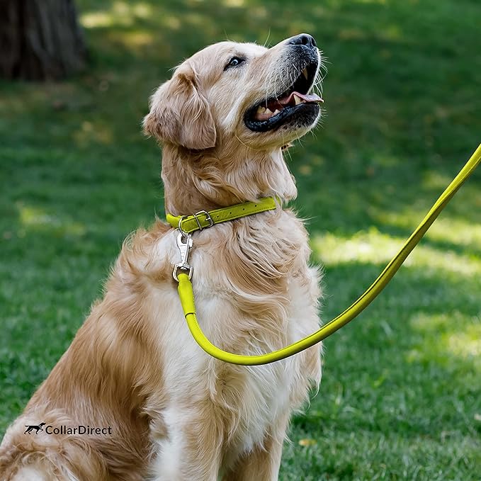 CollarDirect Rolled Leather Dog Collar, Soft Padded Round Puppy Collar, Handmade Genuine Leather Collar Dog Small Large Cat Collars 13 Colors (18-22 Inch, Lime Green Textured)