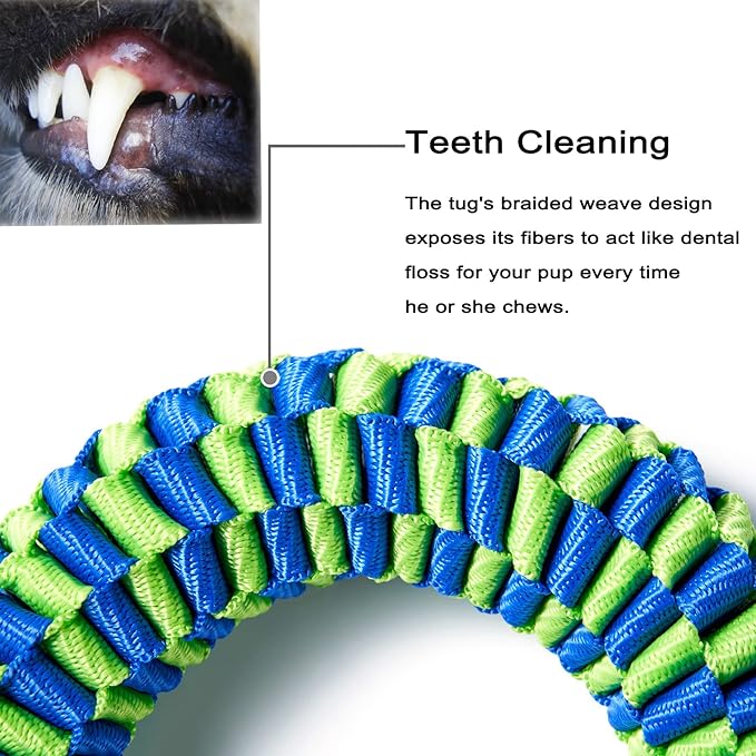 2 Pack Aggressive Chewer Dog Toys - Tug of War & Teeth Cleaning - Medium & Large Dogs