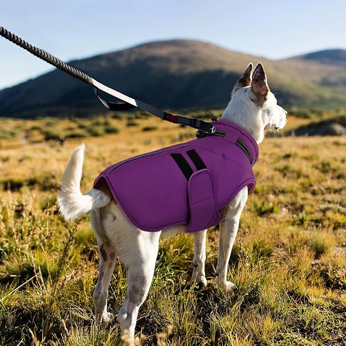 IECOii Waterproof Dog Coat for Medium Dogs, Reflective Dog Jacket with Collar Built in, Thick Fleece Dogs Coat for Winter Easy On Hook & Loop Pet Snowsuit for Hunting, Hiking, Camping, Purple - L