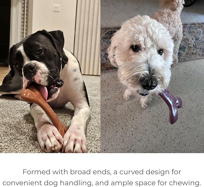 2-Pack Non-Toxic Dog Toys - Sustainable Beef Flavored Dog Chew Toys for Aggressive Chewers - Plant-Based Bioplastic Pet Toys - Made in The USA (Mighty)