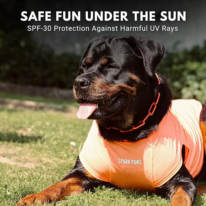Spark Paws Sunblock Dog T-Shirt, SPF30 Protection, Lightweight Breathable Quick Dry for Dogs with Sensitive Skin - Purple & Peach (Set of 2) - 5XL