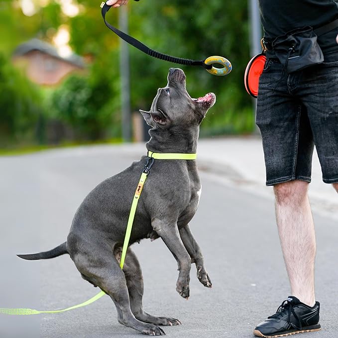 Dingo Puller tug Toy for Dog with Bungee Handle for Dog Training, Agility, tug of war 15674