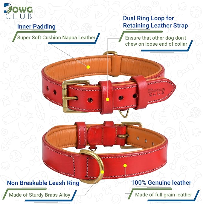 Genuine Leather Dog Collar | Full Grain, Heavy Duty, Comfortable, Padded, Strong | Best for Pups, Small, Medium, Large & XL Breeds (Small (Fit Neck Size 11.5"-14.5"), Red)